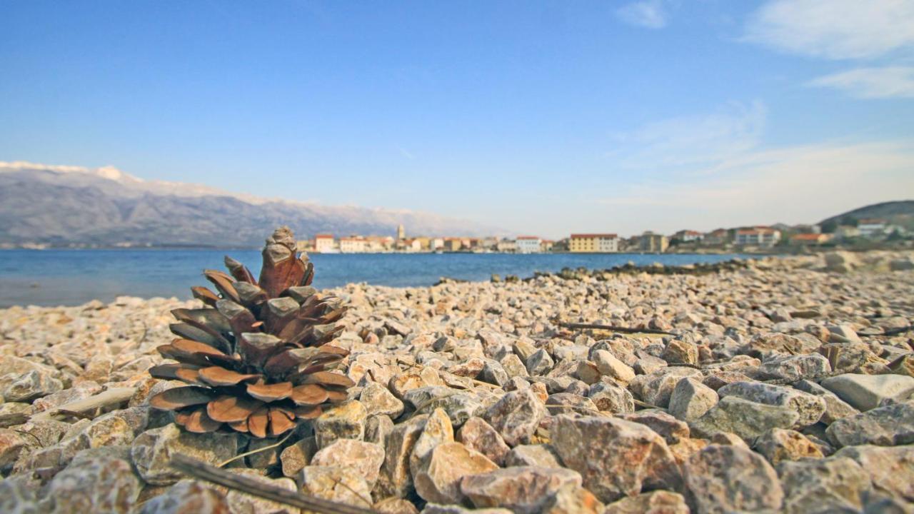 Seashell Vinjerac Apartman Kültér fotó